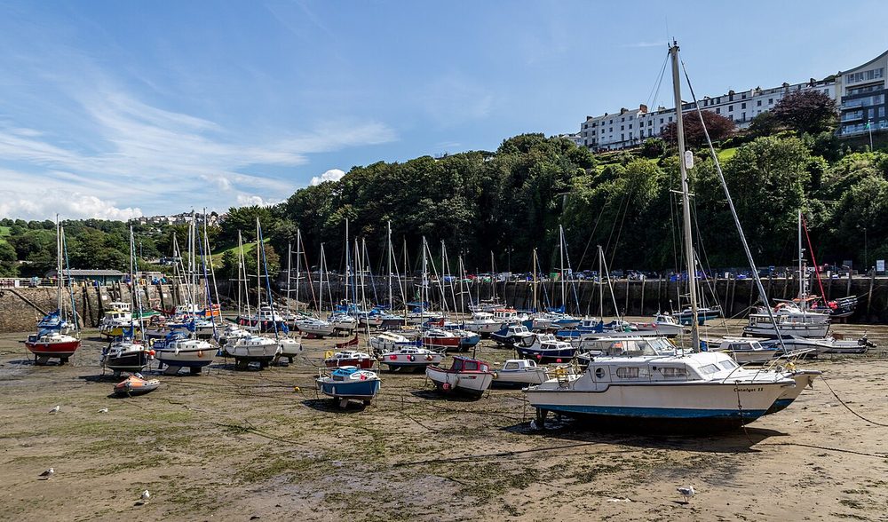 The Antidote, Ilfracombe