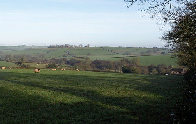 Sampford Courtenay Cider